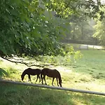 Gite Du Chatelet - Sauna Et Piscine - Villers La Ville Ferienhaus Villers-la-Ville