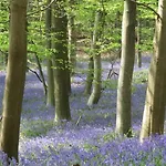 Σπίτι διακοπών Gite Du Chatelet - Sauna Et Piscine - Villers La Ville Villers-la-Ville
