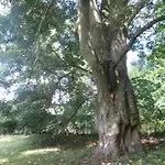 Gite Du Chatelet - Sauna Et Piscine - Villers La Ville *