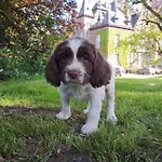 Ferienhaus Gite Du Chatelet - Sauna Et Piscine - Villers La Ville *
