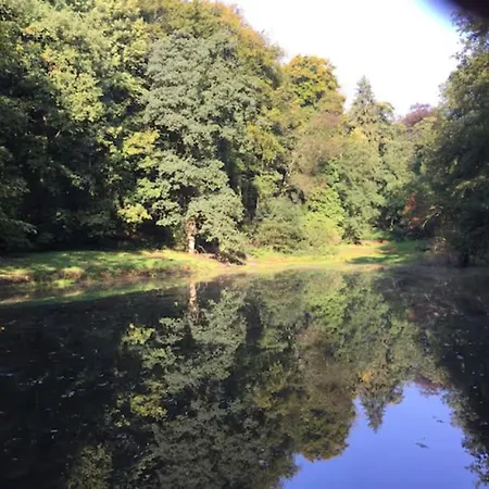 Incontournable Avec Sauna Et Piscine Dans Un Petit Paradis Du Barbant Wallon Vakantiehuis
