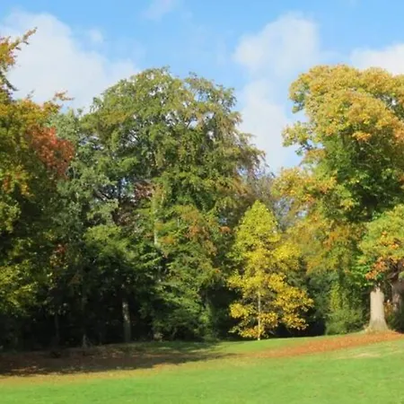Vakantiehuis Incontournable Avec Sauna Et Piscine Dans Un Petit Paradis Du Barbant Wallon *