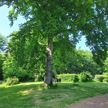 Du Chatelet - Sauna Et Piscine - La 펜션 Villers-la-Ville