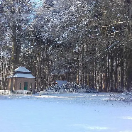 Incontournable Avec Sauna Et Piscine Dans Un Petit Paradis Du Barbant Wallon Holiday home