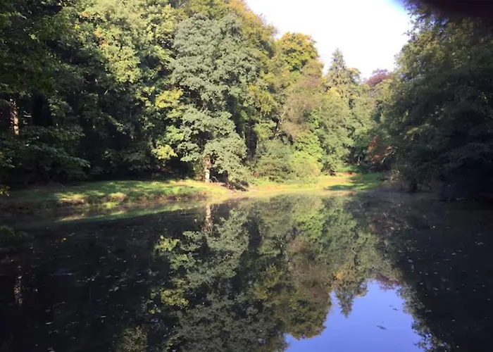 Incontournable Avec Sauna Et Piscine Dans Un Petit Paradis Du Barbant Wallon Ferienhaus