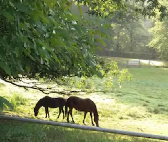Incontournable Avec Sauna Et Piscine Dans Un Petit Paradis Du Barbant Wallon Ferienhaus Villers-la-Ville