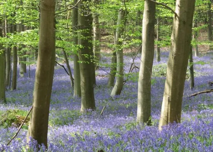 Ferienhaus Incontournable Avec Sauna Et Piscine Dans Un Petit Paradis Du Barbant Wallon Villers-la-Ville