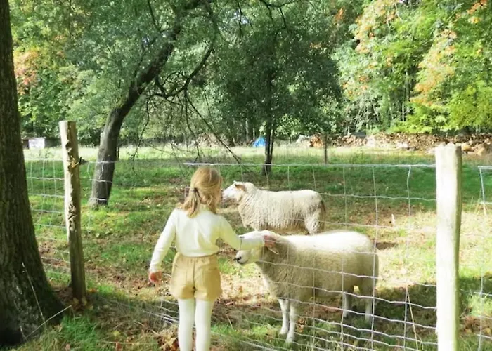 Incontournable Avec Sauna Et Piscine Dans Un Petit Paradis Du Barbant Wallon * Villers-la-Ville