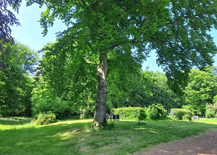 Incontournable Avec Sauna Et Piscine Dans Un Petit Paradis Du Barbant Wallon Ferienhaus Villers-la-Ville